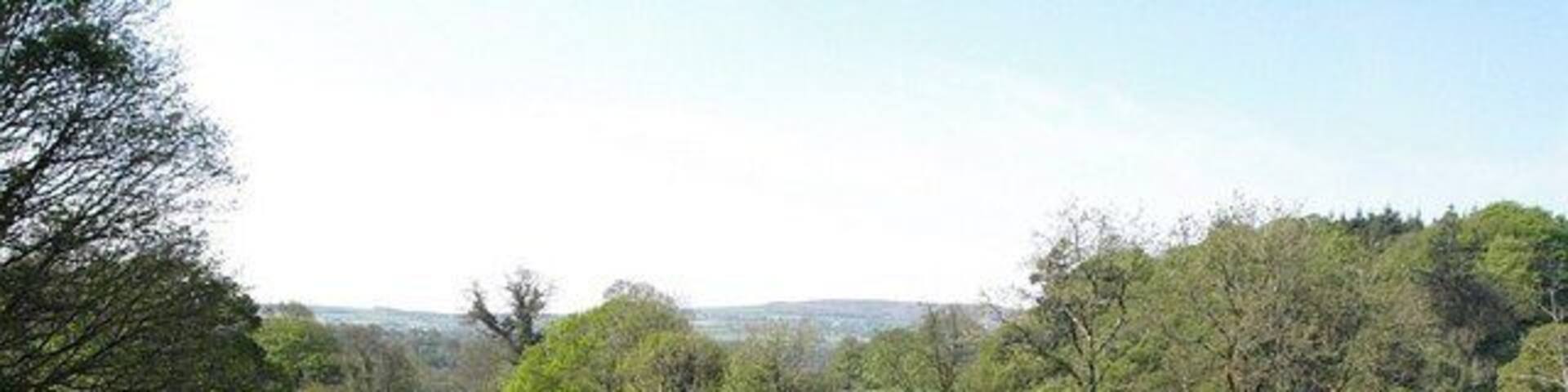 River Tamar at Horsebridge Looking across and downstream from immediately east of the bridge. The easting gridline runs along the far bank at this point.