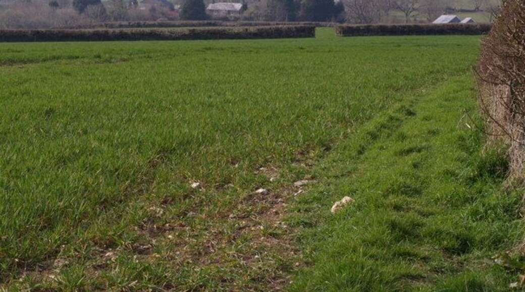 Tuell The farm and associated buildings seen from a distance across fields, from a gateway beside Sydenham Damerel Footpath 1.