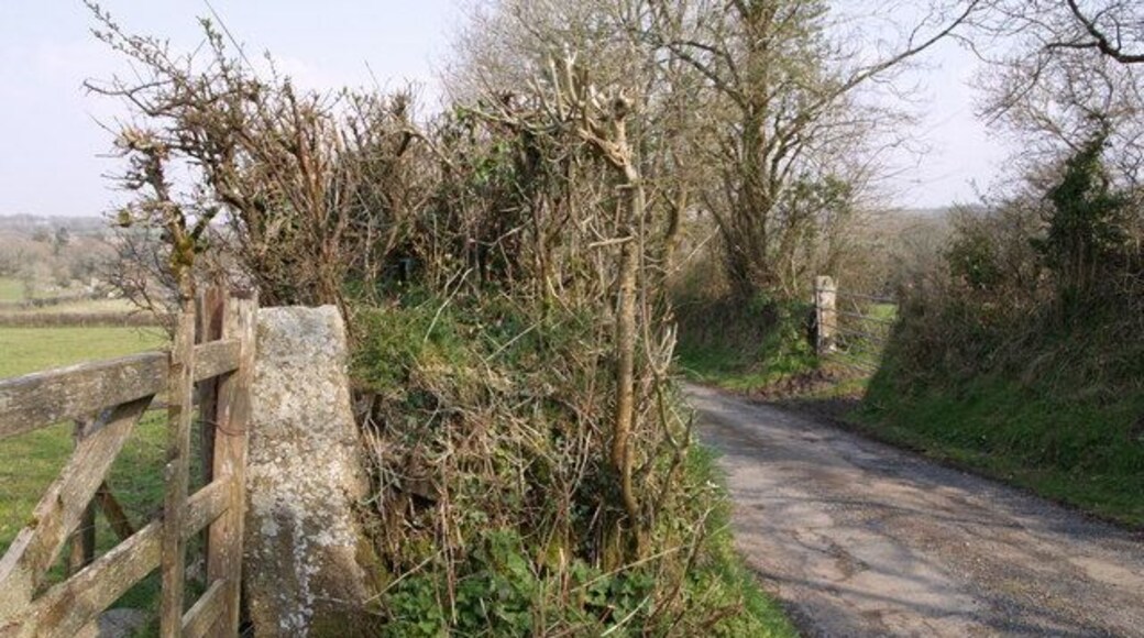 Two gateways at Portington Scene on the no through lane to the hamlet of Portington.