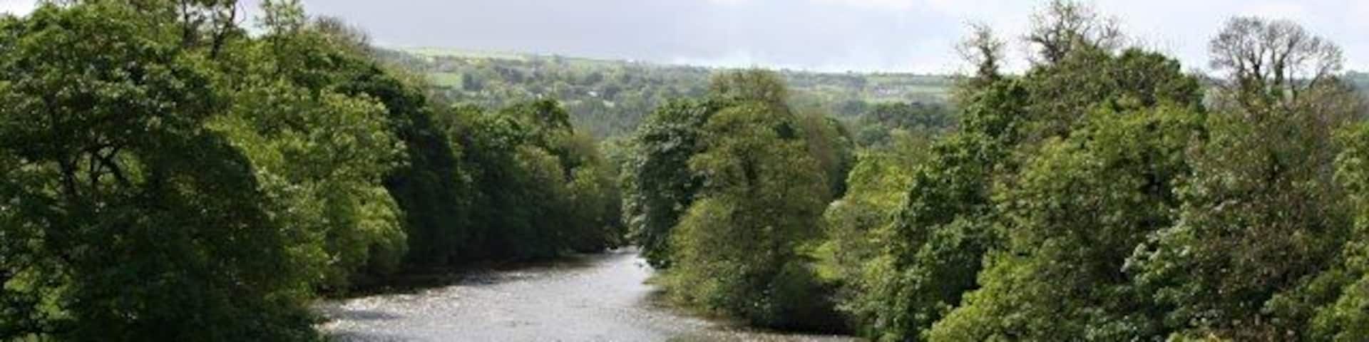 River Tamar: looking south from Horsebridge