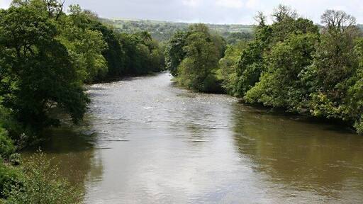River Tamar: looking south from Horsebridge