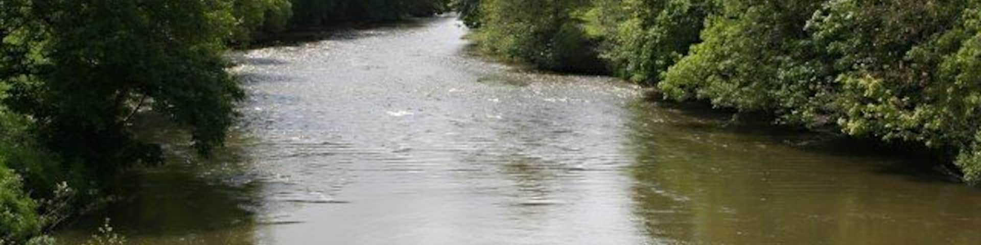 River Tamar: looking south from Horsebridge