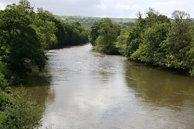 A river surrounded by dense greenery.