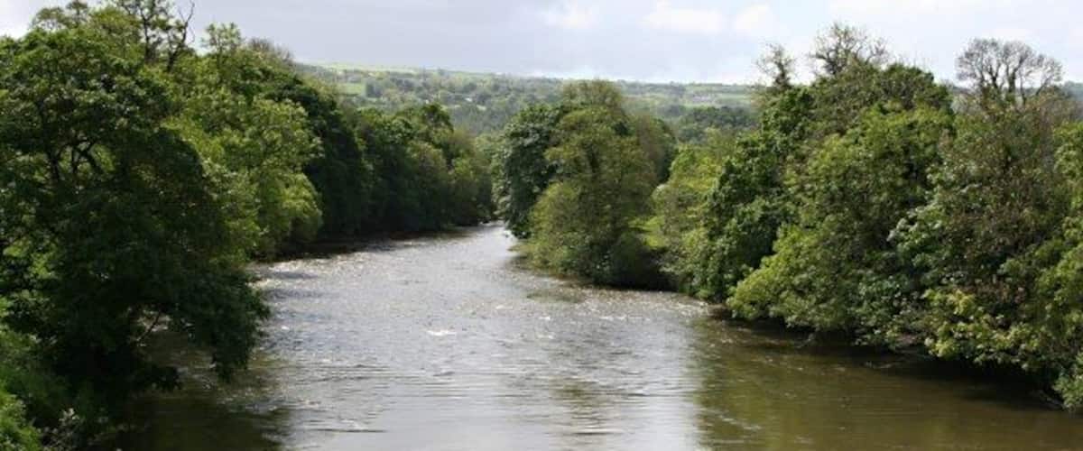 A river surrounded by dense greenery.