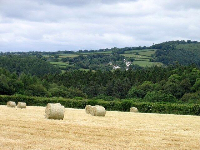View across Tamar Valley to Tutwell Taken from track down to Sydenham Mill