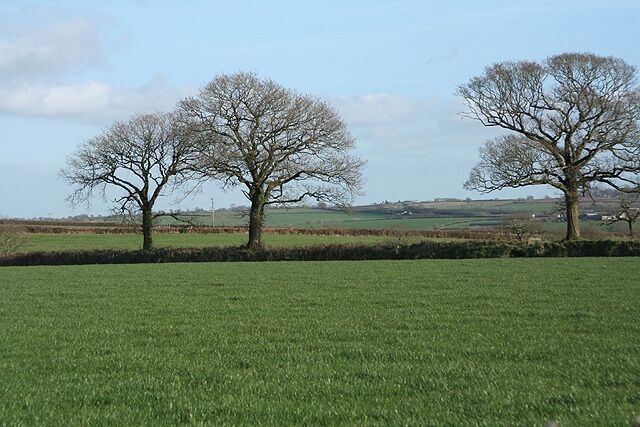 Thelbridge: near Billhole Farm Looking east-south-east by the entrance to the farm