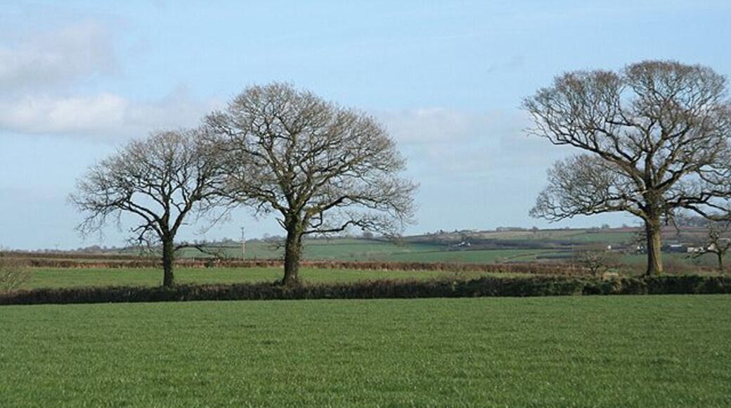 Thelbridge: near Billhole Farm Looking east-south-east by the entrance to the farm