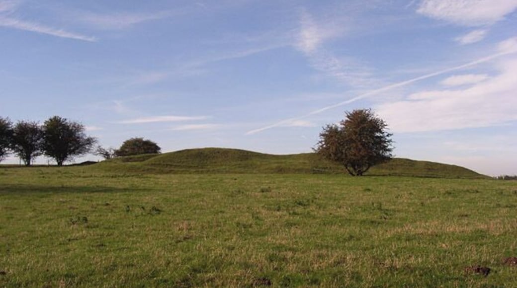 Long barrow, Tidcombe Alongside the Chute road.