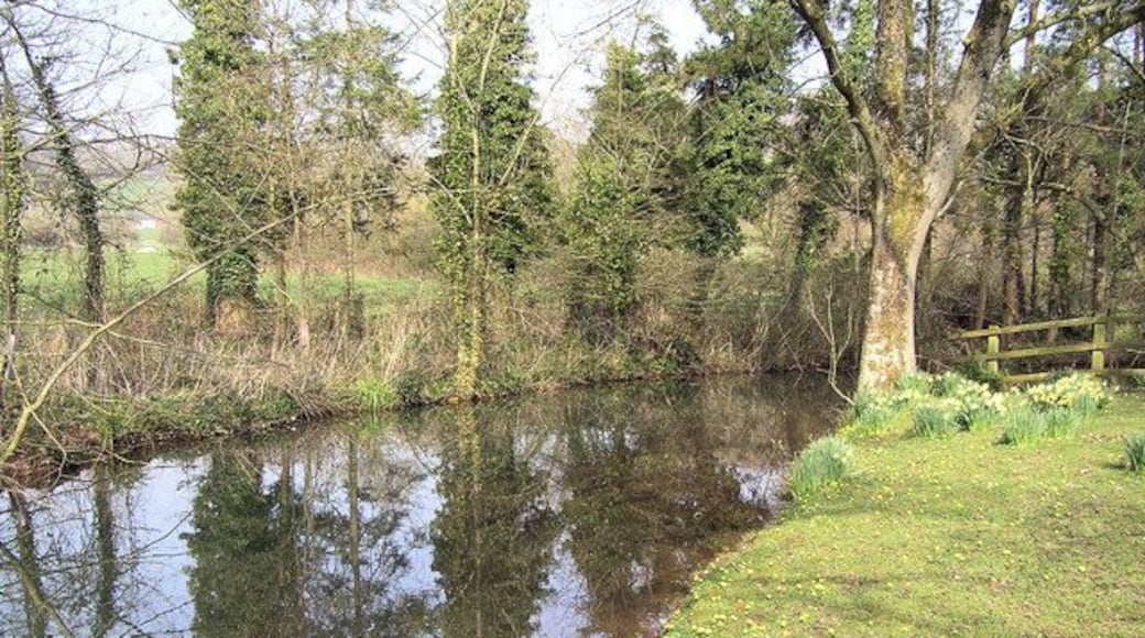Ubley Hatchery Owned by Bristol Waterworks
