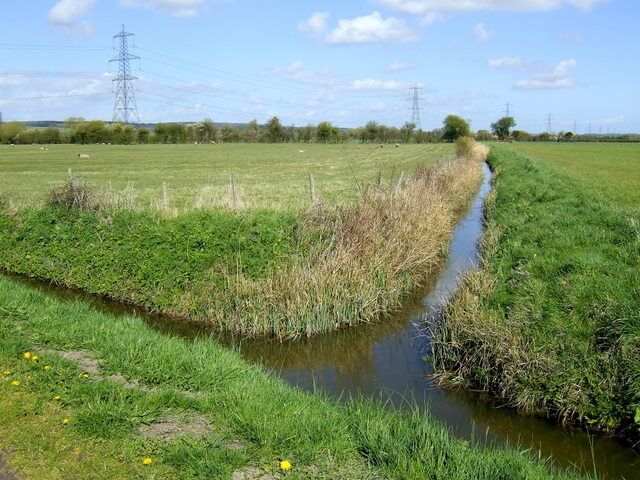 Drains on the Caldecot Level This is a branch of the Chapel Reen near Undy.