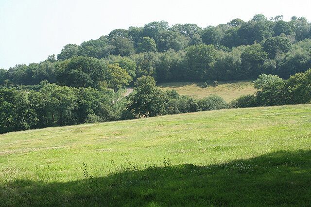 Upottery: towards Lower Luxton. Looking south-south-east across a valley to the east of Higher Luxton