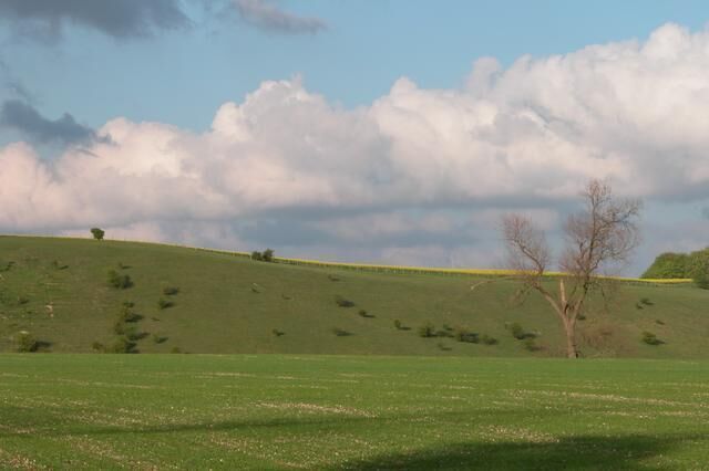 Farmland to the north of Aldbourne.