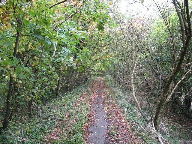 The old road from Fox Hill to Manor Farm Now bisected by the M4 motorway, several roads in this location have been re-routed or in this case disused, but it makes a pleasant walk and a haven for wild life, not easily found, but not necessarily a bad thing. Still metalled and single track, it serves as a reminder of a quiet past compared to the thundering M4 nearby.