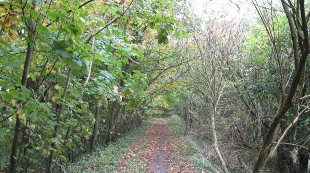 The old road from Fox Hill to Manor Farm Now bisected by the M4 motorway, several roads in this location have been re-routed or in this case disused, but it makes a pleasant walk and a haven for wild life, not easily found, but not necessarily a bad thing. Still metalled and single track, it serves as a reminder of a quiet past compared to the thundering M4 nearby.