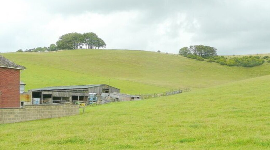 Combe in Hinton Downs Looking north from Ermin Way past Hillside Farm.
