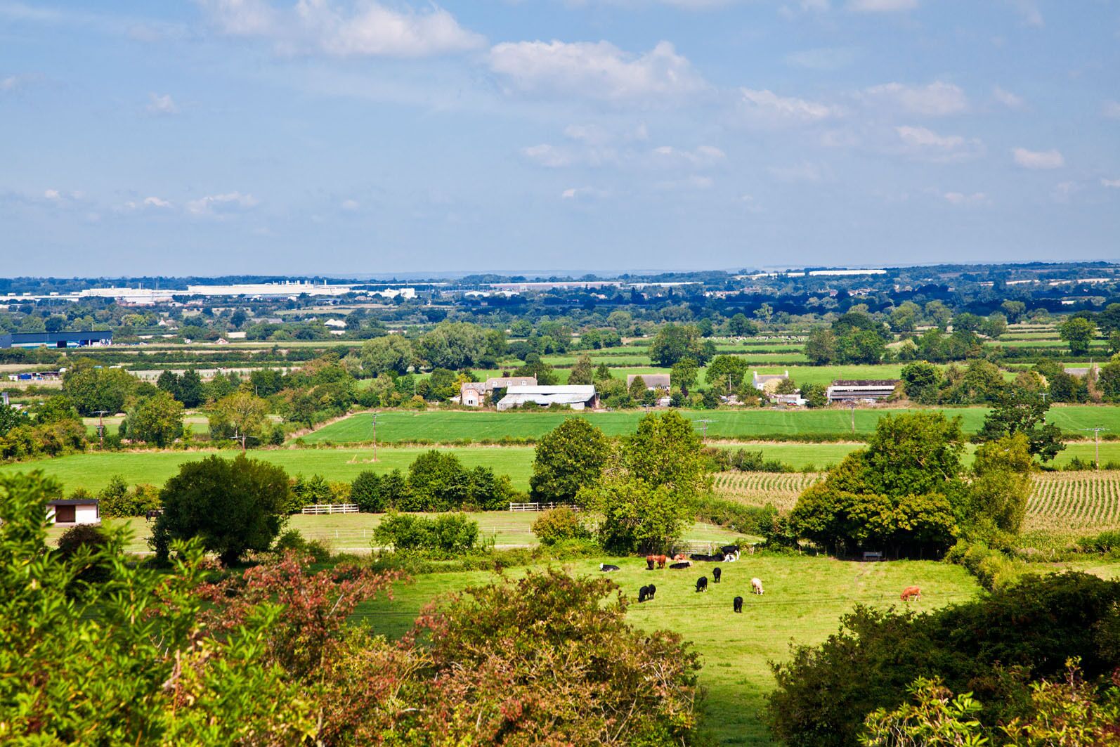 A rural landscape with fields, trees, and farm buildings.