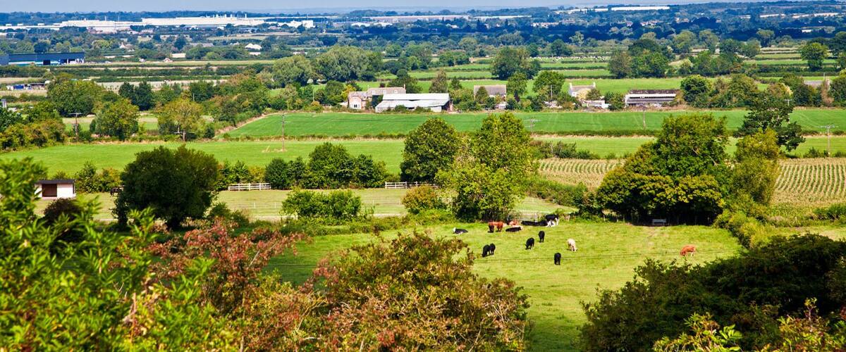 A rural landscape with fields, trees, and farm buildings.