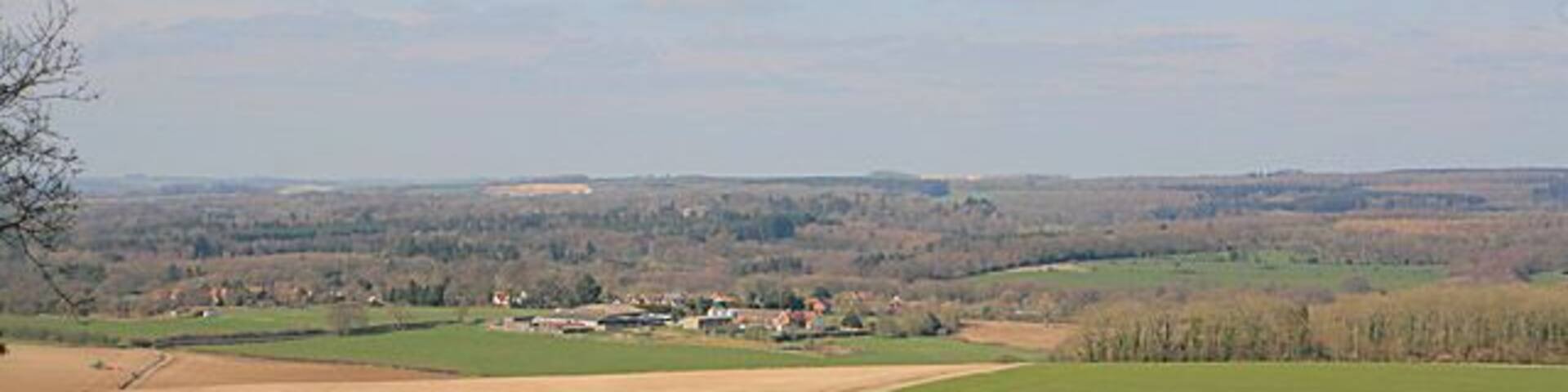 A rural landscape with green fields, a small tree, and distant buildings.