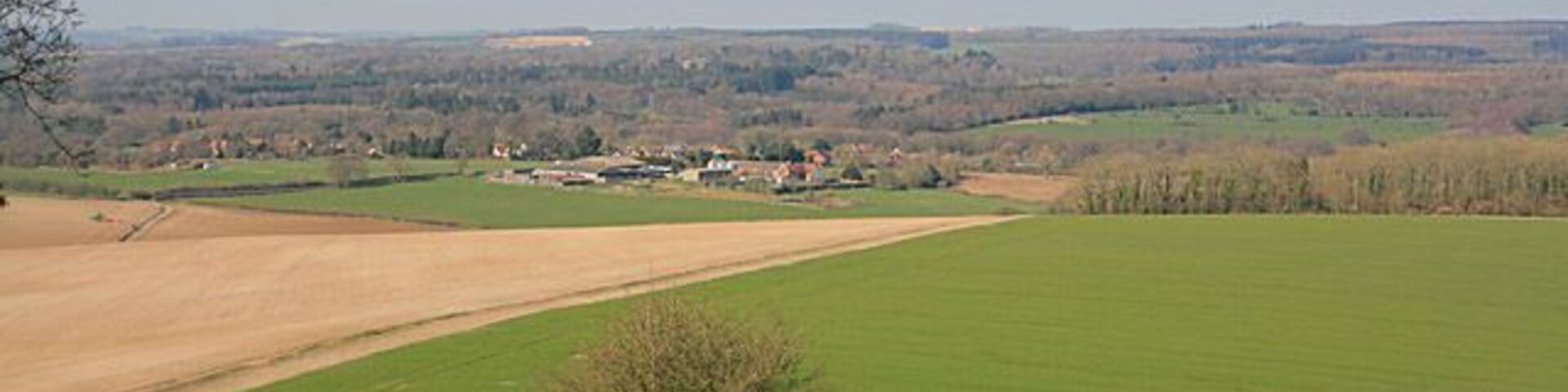 Paisaje rural con campos verdes, un árbol pequeño y edificios lejanos.