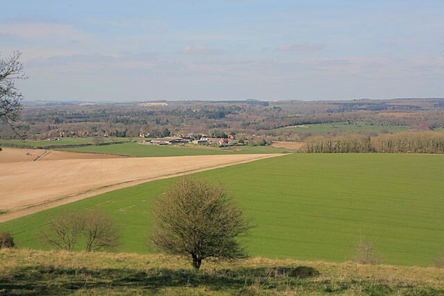 A rural landscape with green fields, a small tree, and distant buildings.