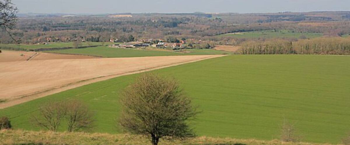 A rural landscape with green fields, a small tree, and distant buildings.
