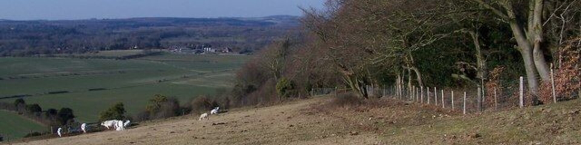 Uma colina gramada com cerca, árvores e uma vista distante de campos e casas.