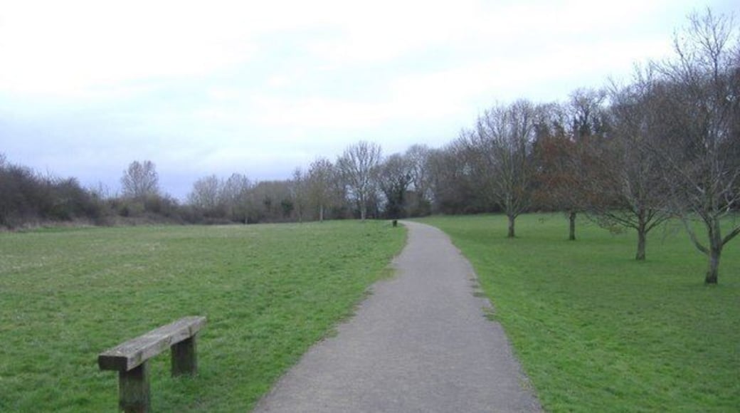 Wapley Common South of Yate.