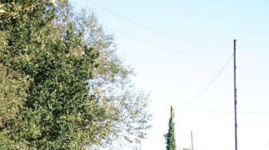 Summerhill Lane, Whitgreave This is Summerhill Lane on the edge of Whitgreave looking East. Looking at this view you wouldn't believe that the noisy M6 is just around the corner.
