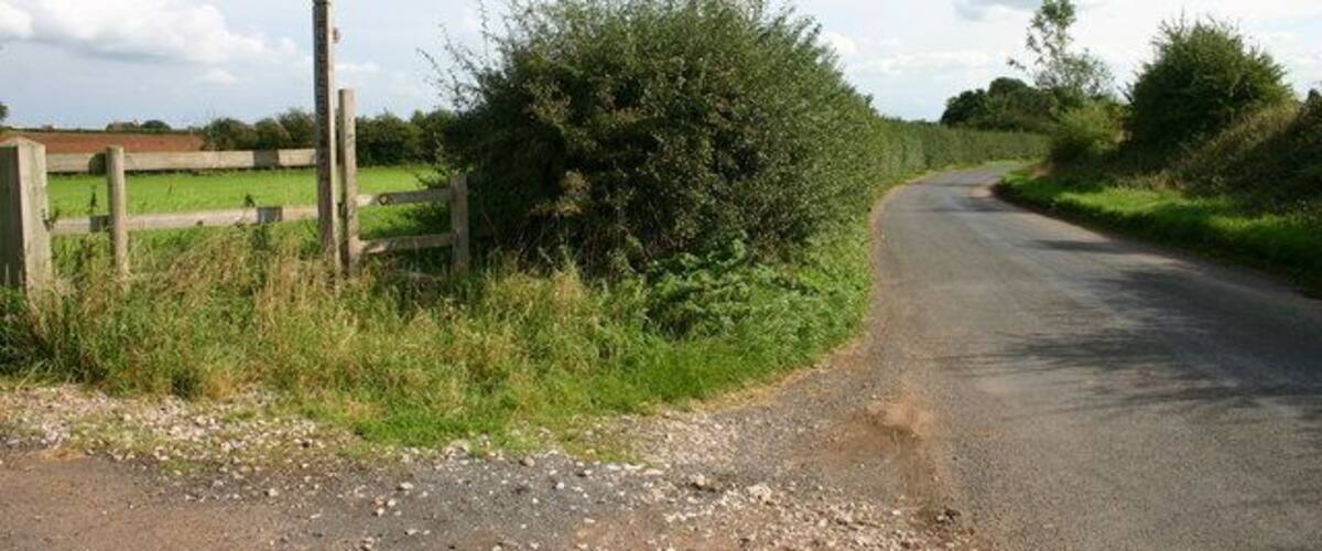 A rural road with a wooden fence and bushes on the side.