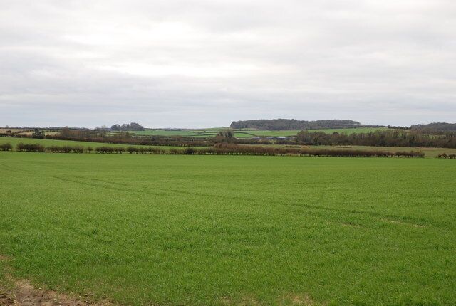 View towards River Allen from Witchampton Lane