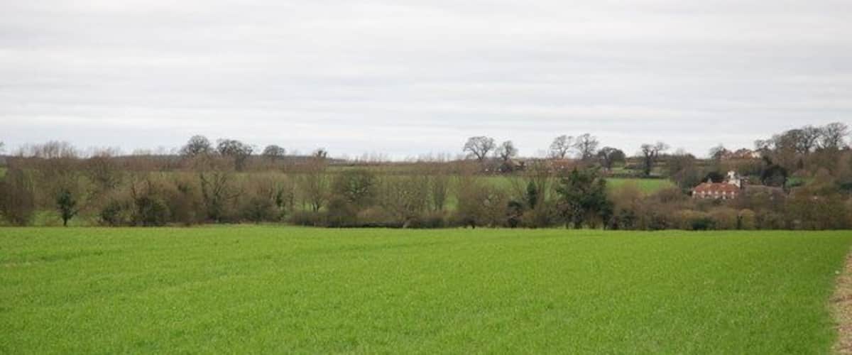 A green field with a distant building and trees.