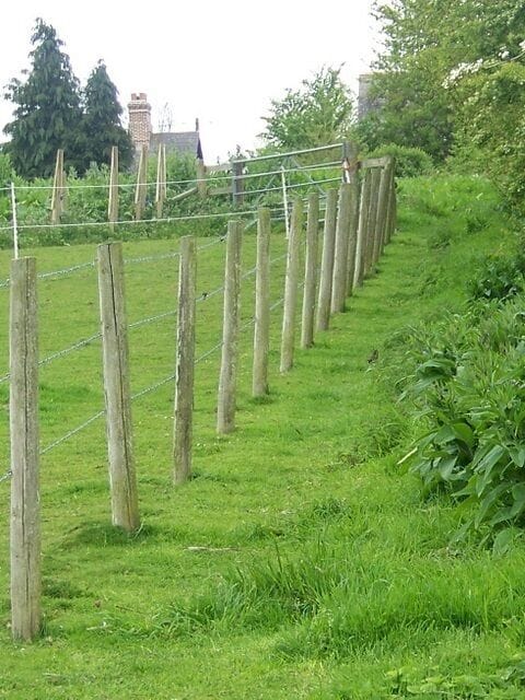 Footpath, Witchampton The footpath passes pony paddocks as it takes walkers from the village hall to the Methodist Chapel.