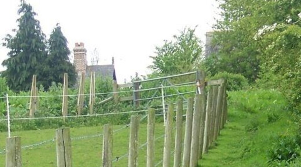 Footpath, Witchampton The footpath passes pony paddocks as it takes walkers from the village hall to the Methodist Chapel.