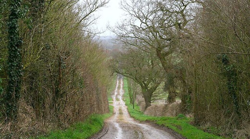 Calais Lane A long way from France, but the lane from Yelford to Brighthampton really is called Calais Lane!