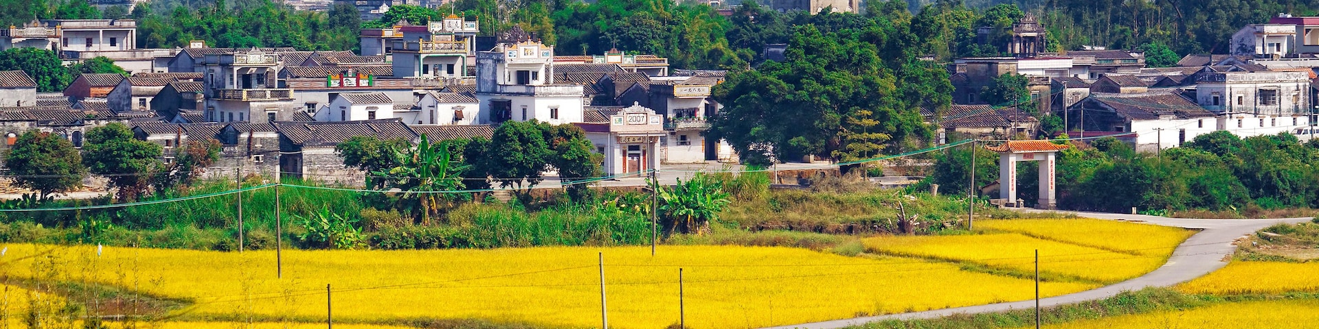 Paisaje rural con un extenso campo amarillo, edificios tradicionales y una imponente torre de iglesia.