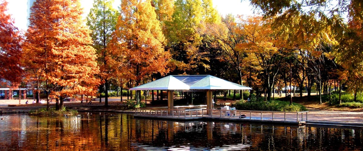 神宮東公園 Jinguhigashi park