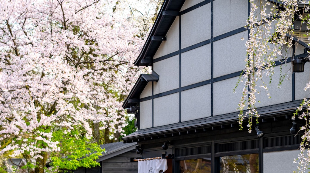 كاكونوداتي