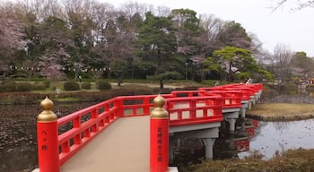 Iwatsuki Castle Park in Iwatsuki-ku, Saitama