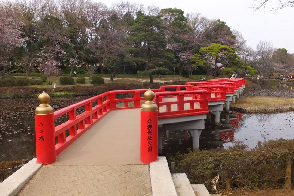 A red bridge over a pond with cherry blossoms in the background.