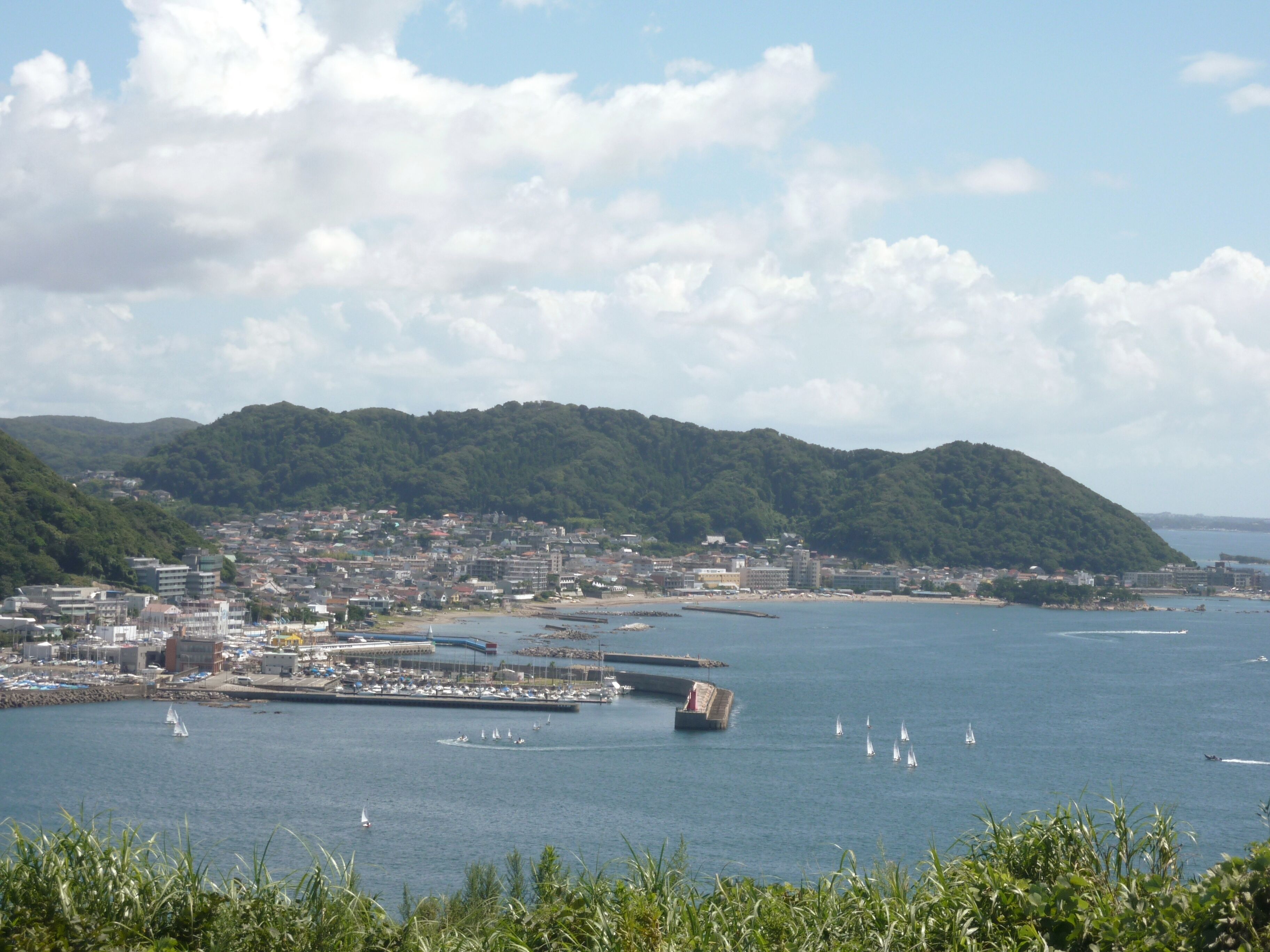 神奈川県逗子市の大崎公園から葉山町の「はやま三ヶ岡山緑地」を望む。