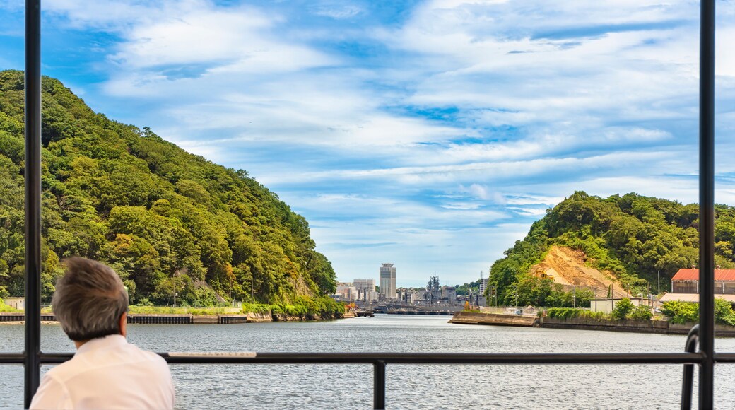 yokosuka, japan - july 19 2020: Senior person from back enjoying sea view of Yokosuka naval port from the boat of the yokosuka military port tour.