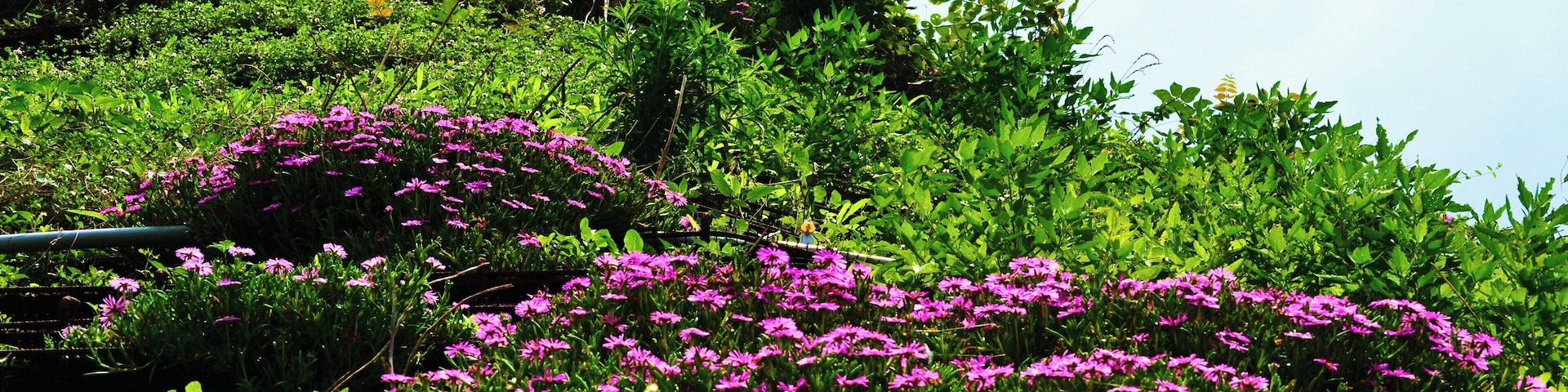 であいの館蒲刈の急斜面