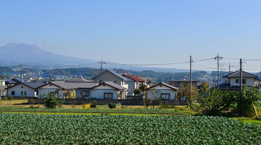 Hoshino-mura