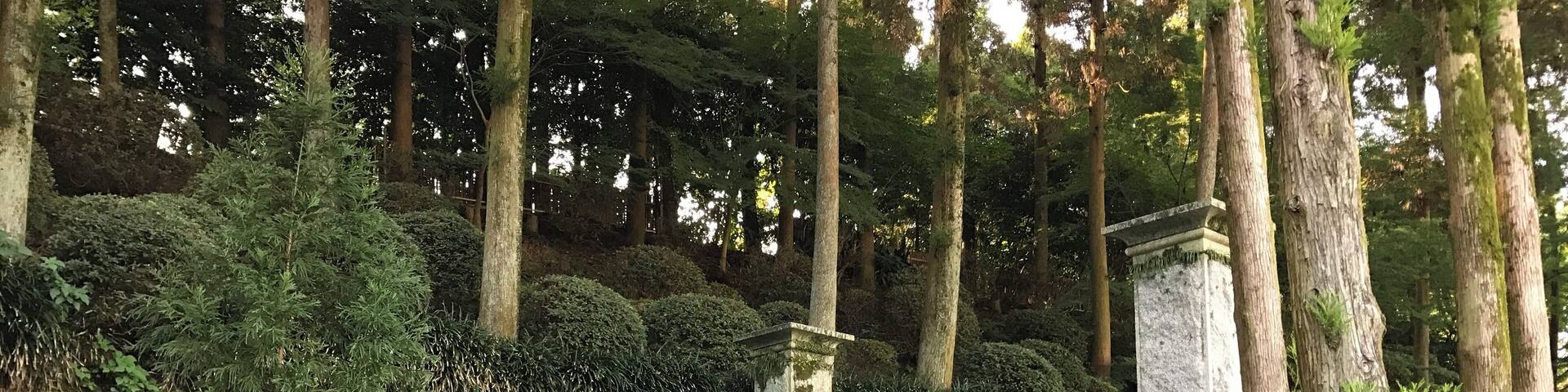 é«èŻć±±ă«ăăæ°Žæèăźé