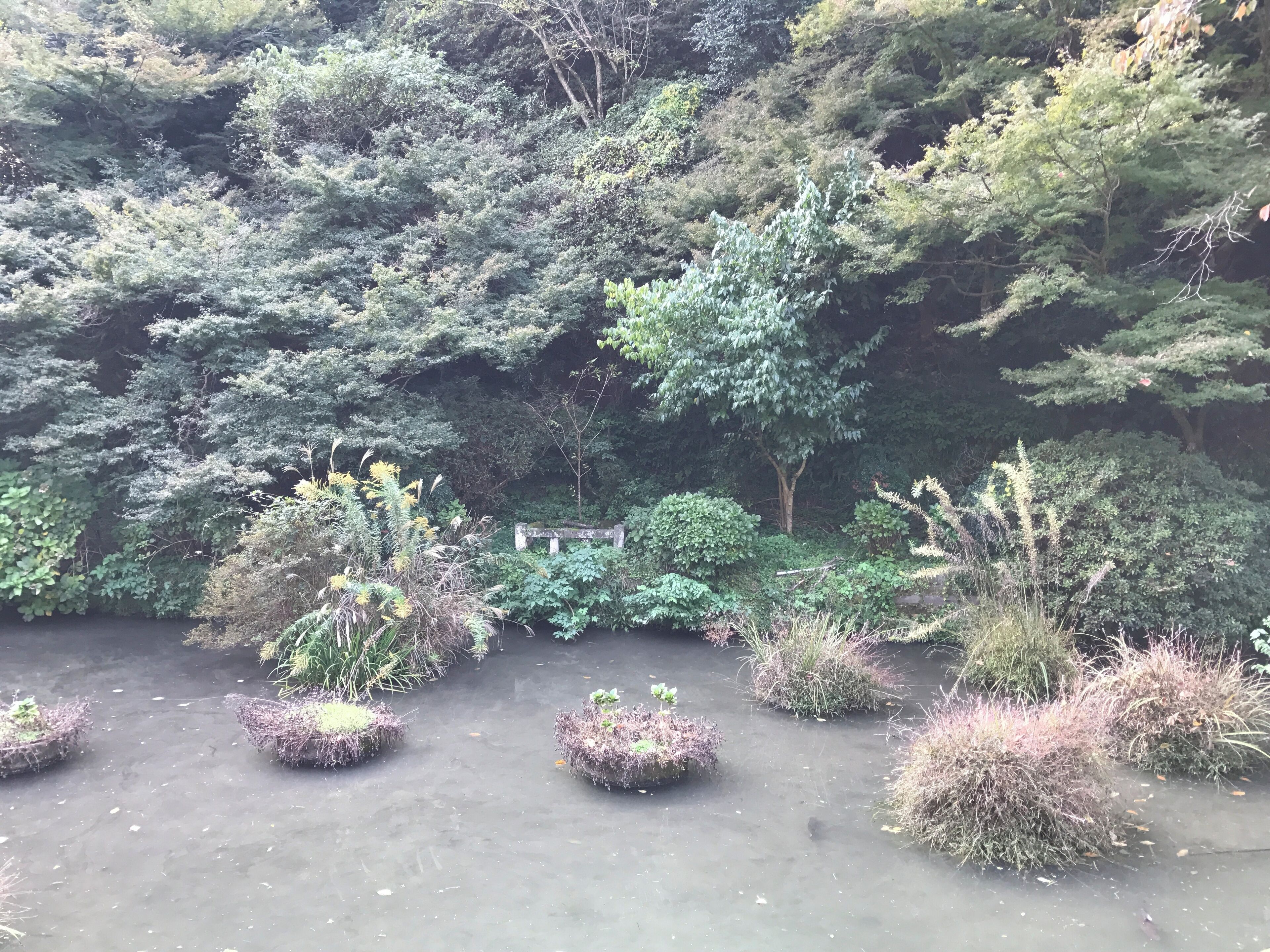 高良大社の御手洗池