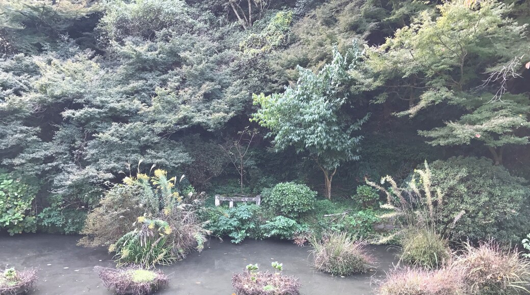 高良大社の御手洗池