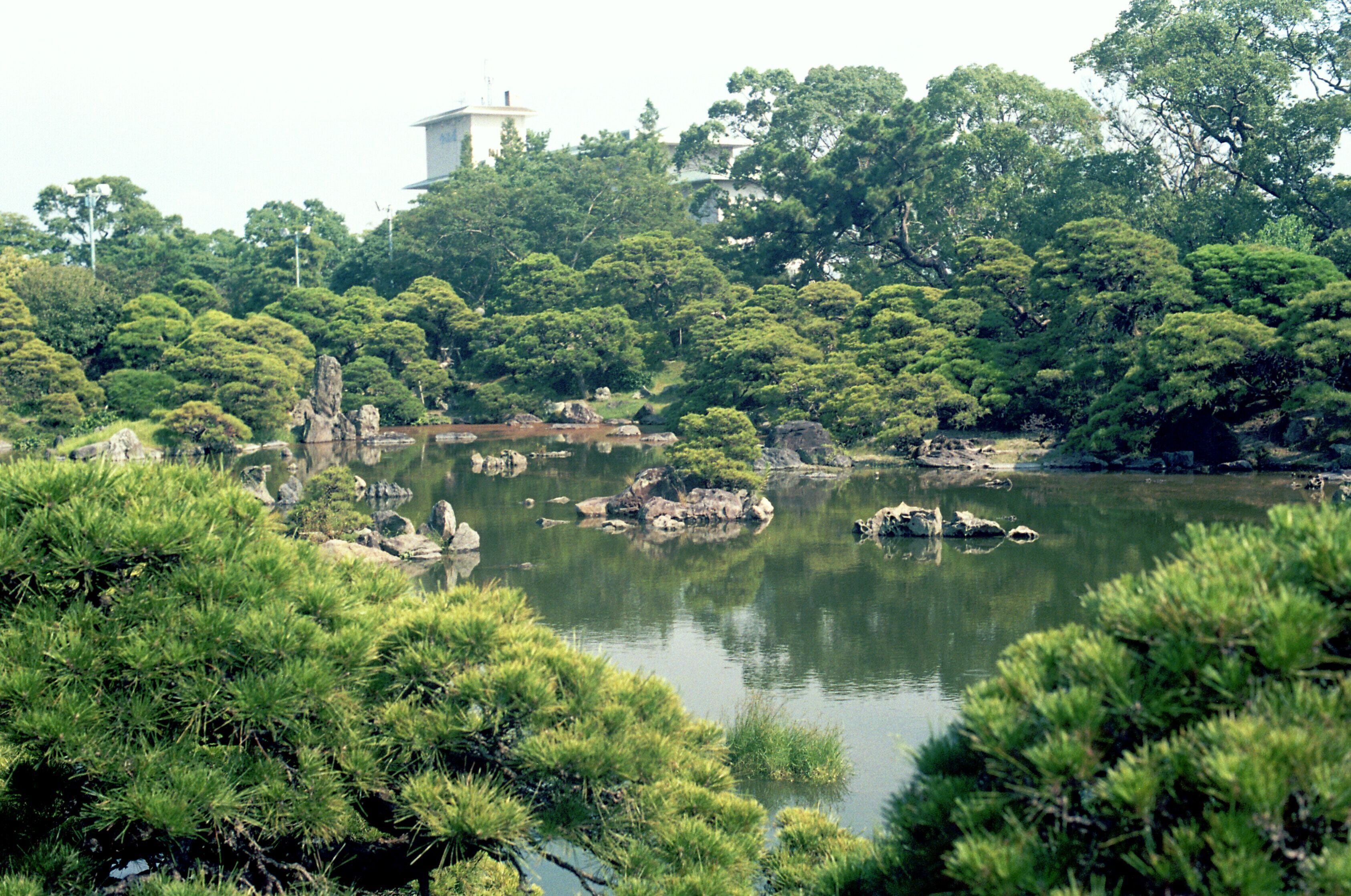 A serene pond surrounded by lush greenery and rocks.