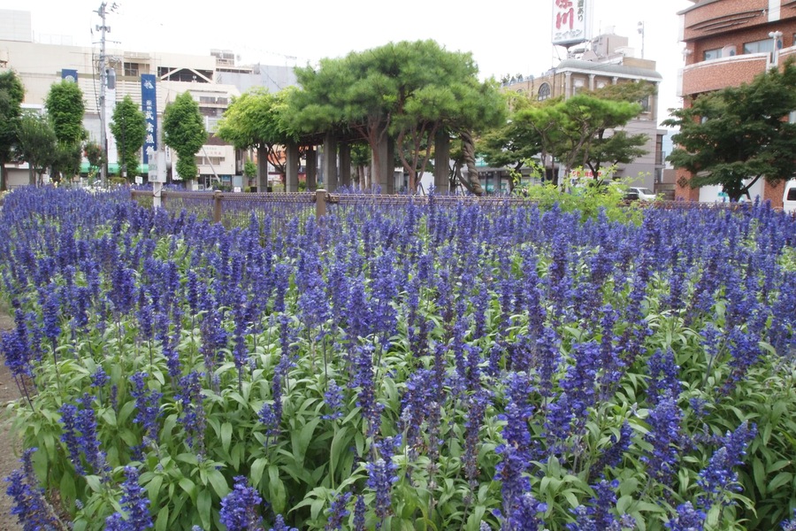 会津若松駅前