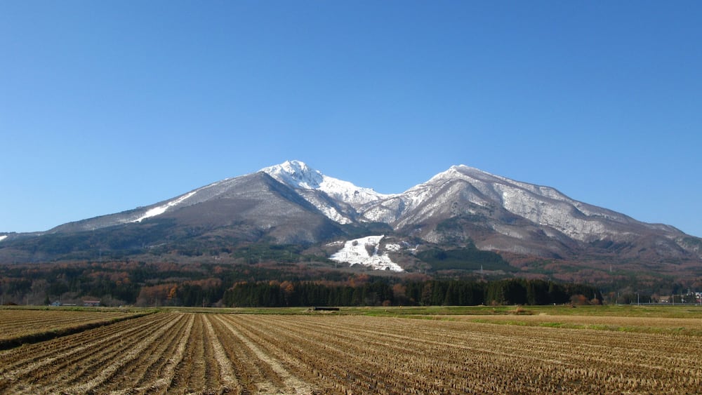 Une montagne enneigée se dressant sur un fond de ciel bleu azur, avec un champ au premier plan.