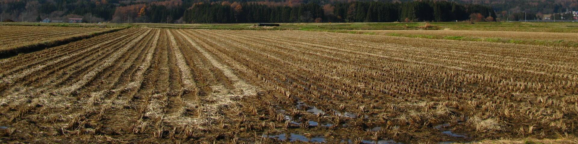 Mt.Bandaisan,Fukushima pref.,Japan